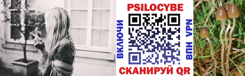 Галлюциногенные грибы прущие грибы Киреевск