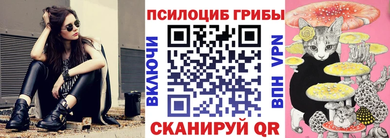где найти наркотики  Киреевск  Псилоцибиновые грибы мухоморы 